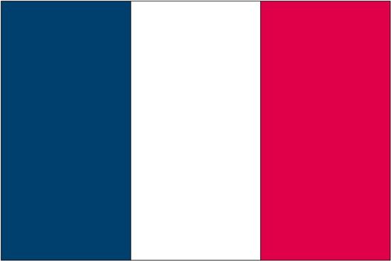 Annin France 3ft x 5 ft NylGlo Nylon Flag