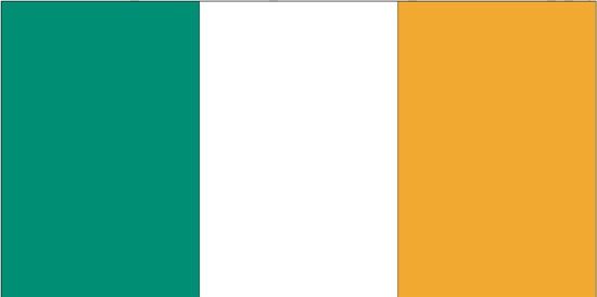 Annin Ireland 3ft x 5 ft NylGlo Nylon Flag