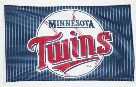 3 ft x 5 ft Polyester MLB Flag - Minnesota Twins
