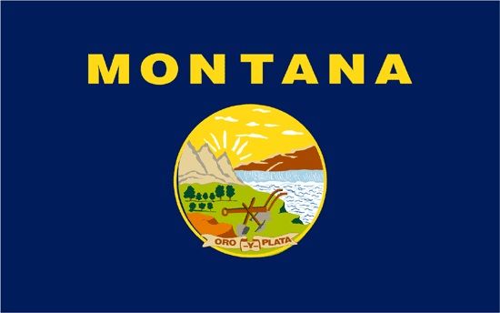 Annin Montana 3ft x 5 ft NylGlo Nylon State Flag