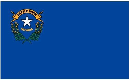 3 ft x 5 ft Polyester State Flag - Nevada