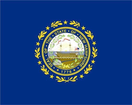 Annin New Hampshire 3ft x 5 ft NylGlo Nylon State Flag
