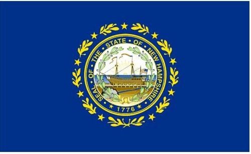 3 ft x 5 ft Polyester State Flag - New Hampshire