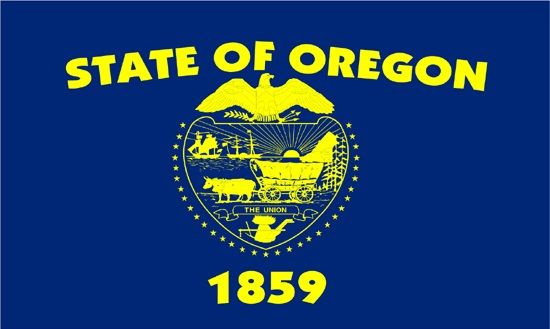 Annin Oregon 3ft x 5 ft NylGlo Nylon State Flag