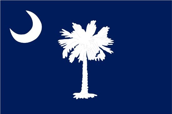 Annin South Carolina 3ft x 5 ft NylGlo Nylon State Flag