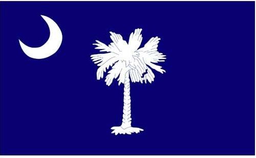 3 ft x 5 ft Polyester State Flag - South Carolina