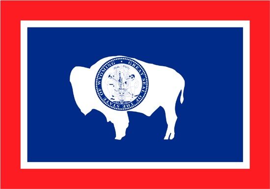 Annin Wyoming 3ft x 5 ft NylGlo Nylon State Flag
