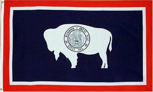 3 ft x 5 ft Polyester State Flag - Wyoming